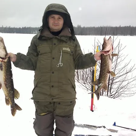 Leinon 아파트 Ylämaa